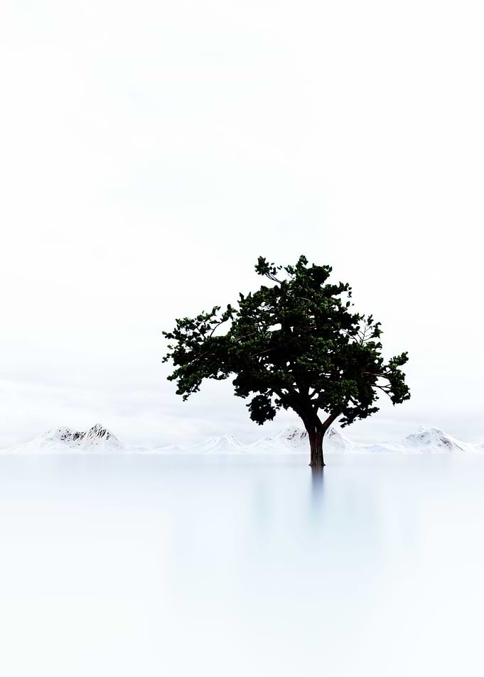 Lonely