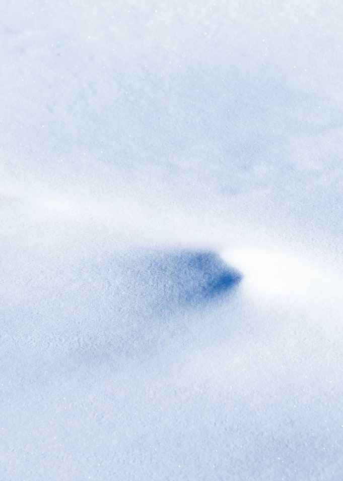 Winter Snowdrifts