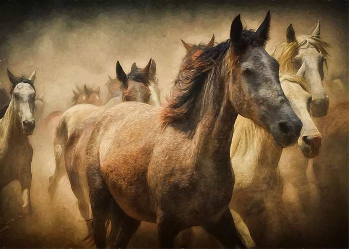 White Horses Illustration