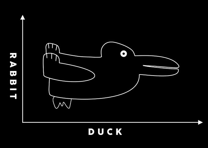 duck rabbit illusion
