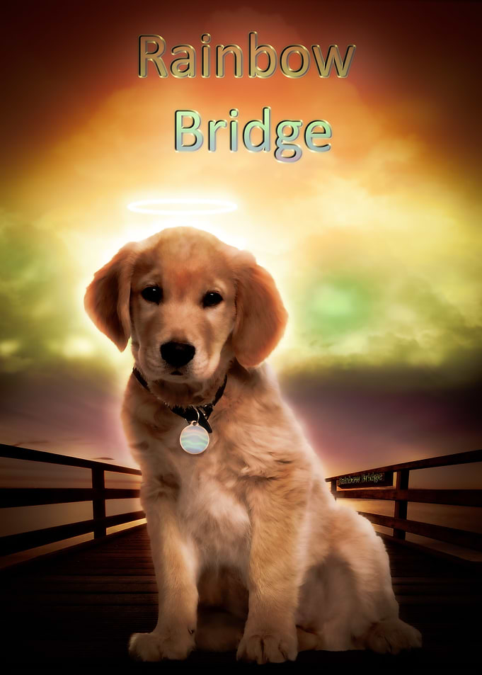 raindow bridge
