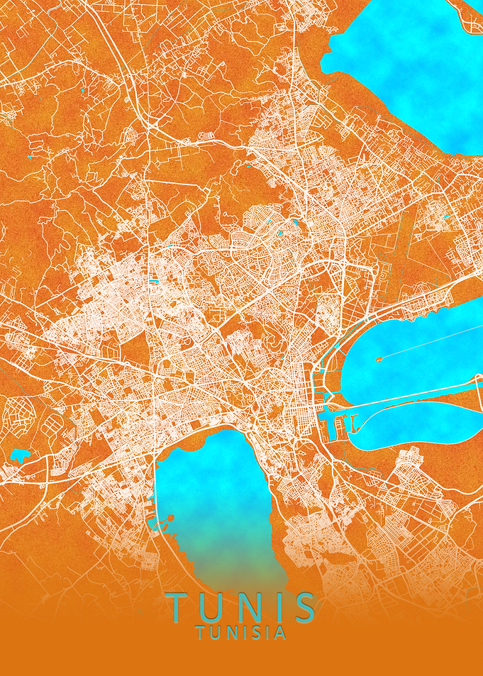 Tunis Tunisia City Map