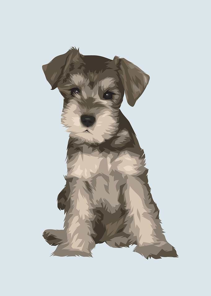 Cute Pet Dog Happy