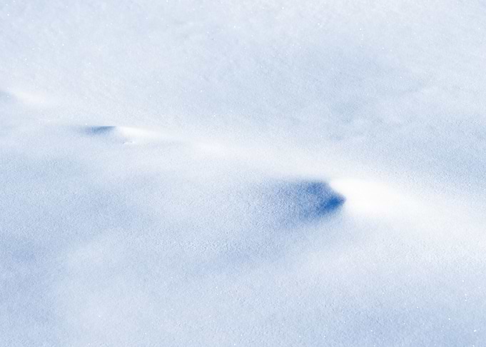 Winter Snow And Snowdrifts