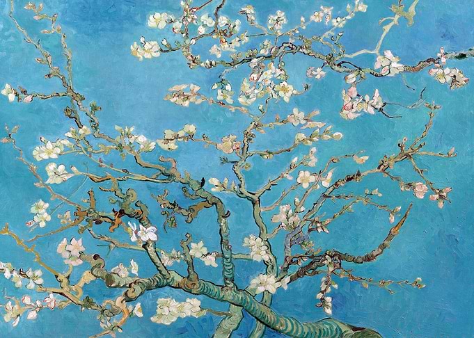 Van Gogh Almond Blossom