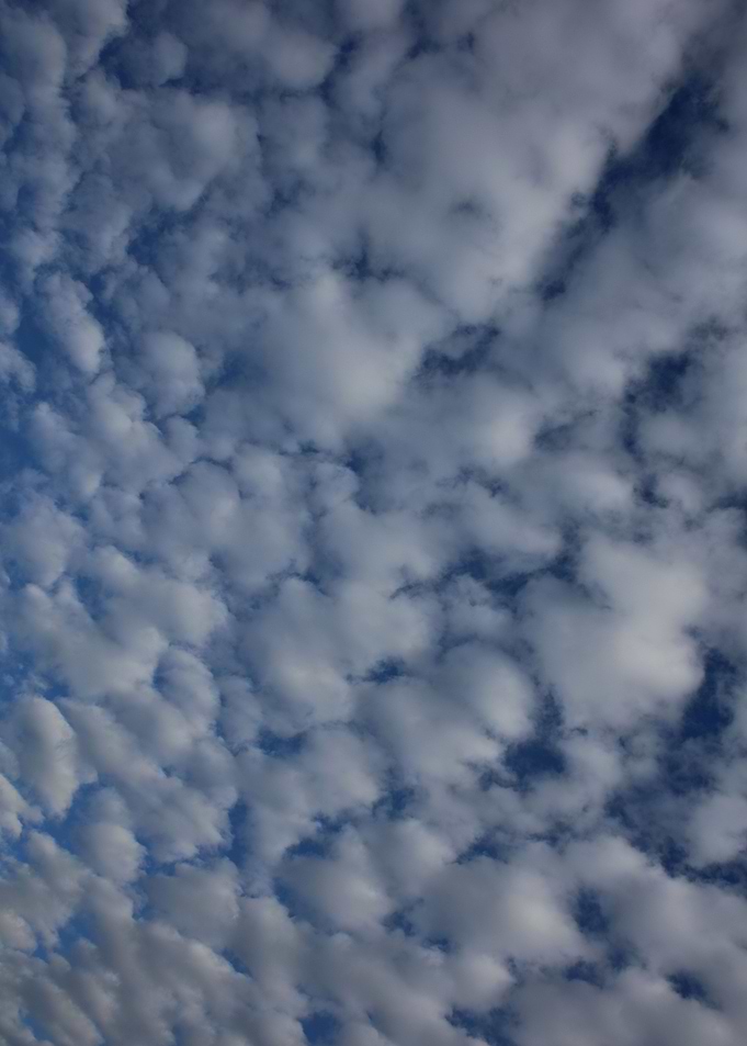 Sky with bubbles clouds