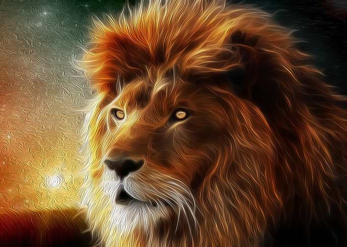 The Lonely Lion