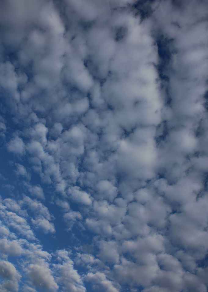 Sky with bubbles clouds