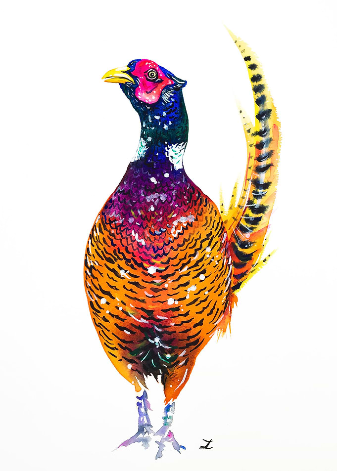 Pheasant