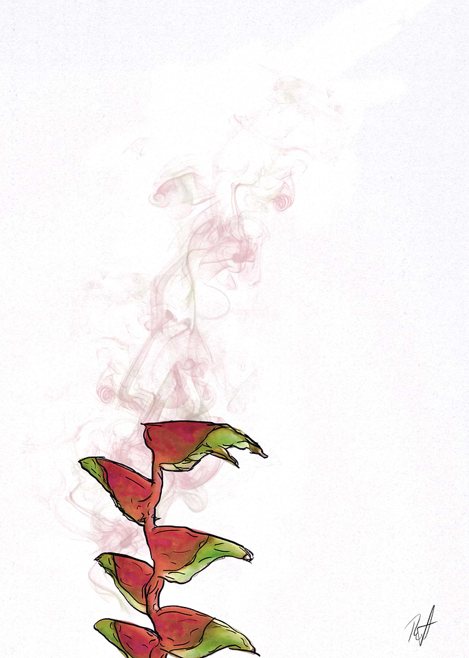 Ephemeral Flower 2