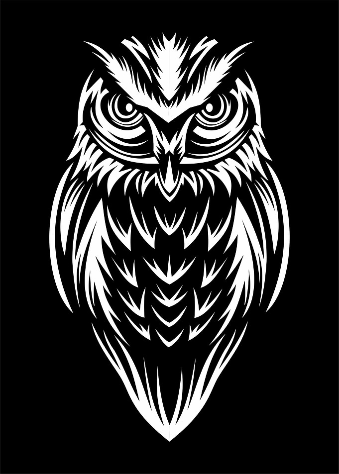 owl poster