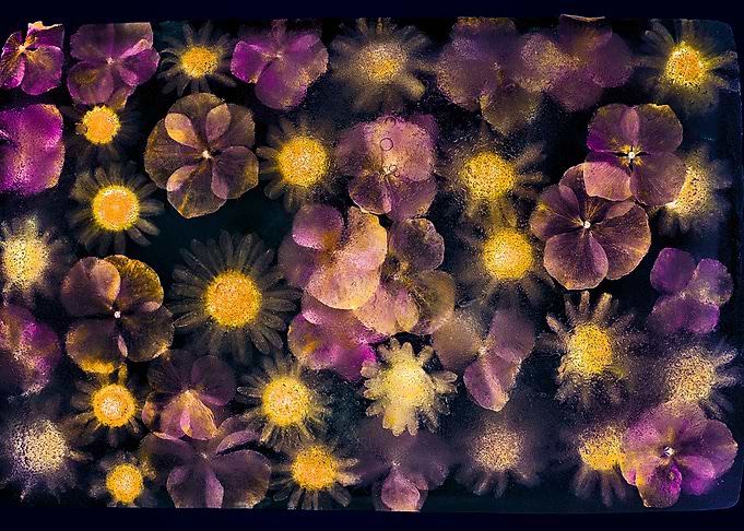Enchanted in Time 09