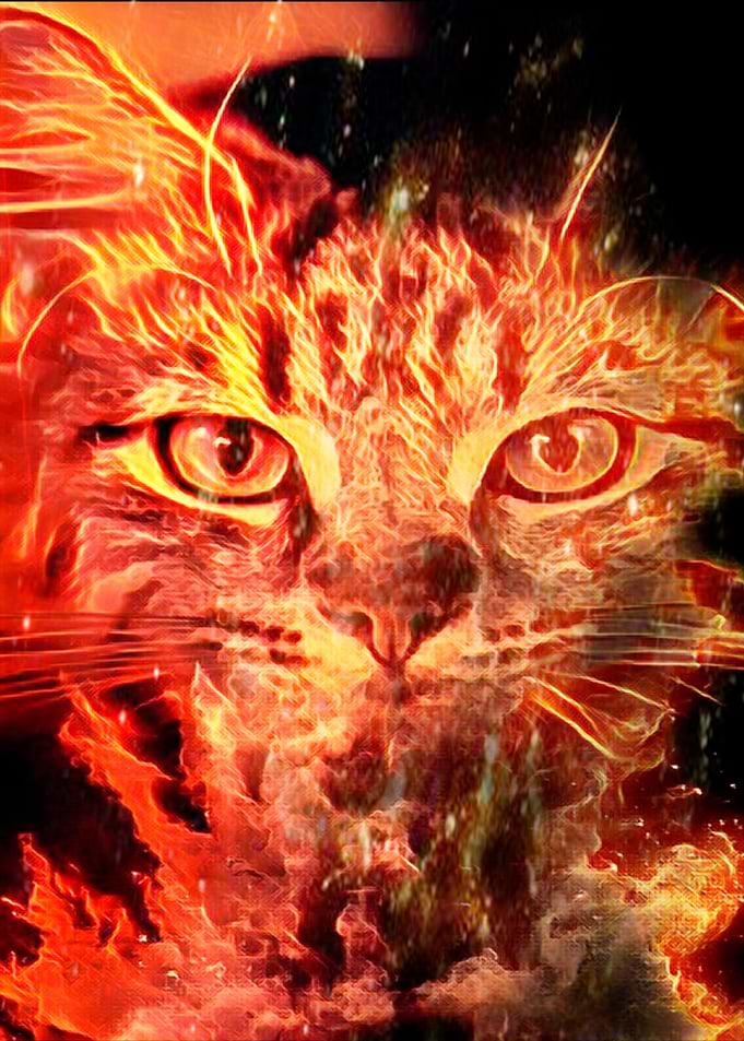on fire