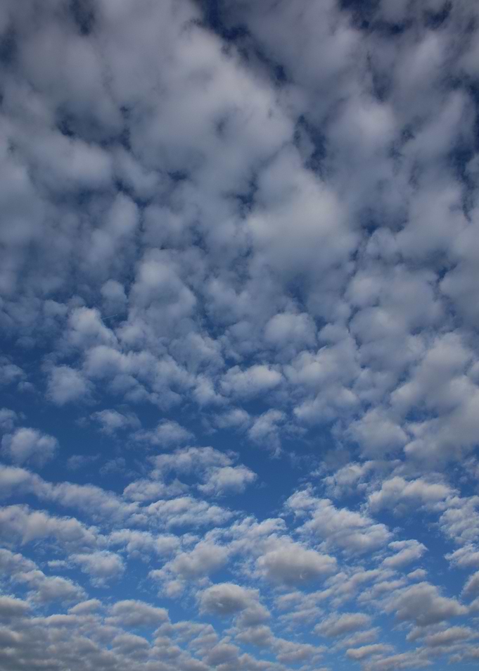 Sky with bubbles clouds