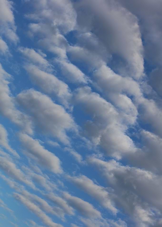 Sky with bubbles clouds
