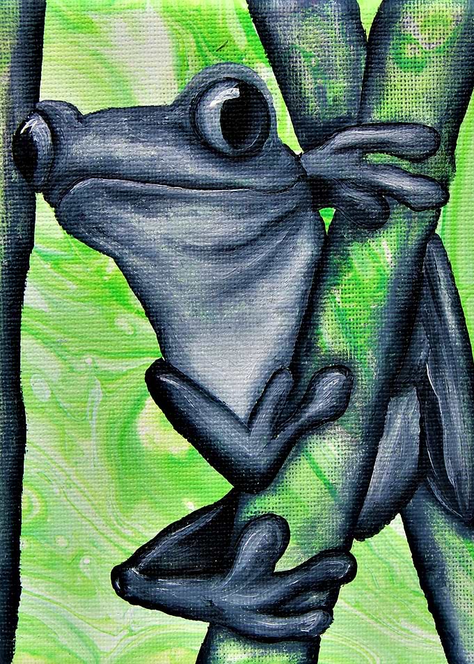 Little frog