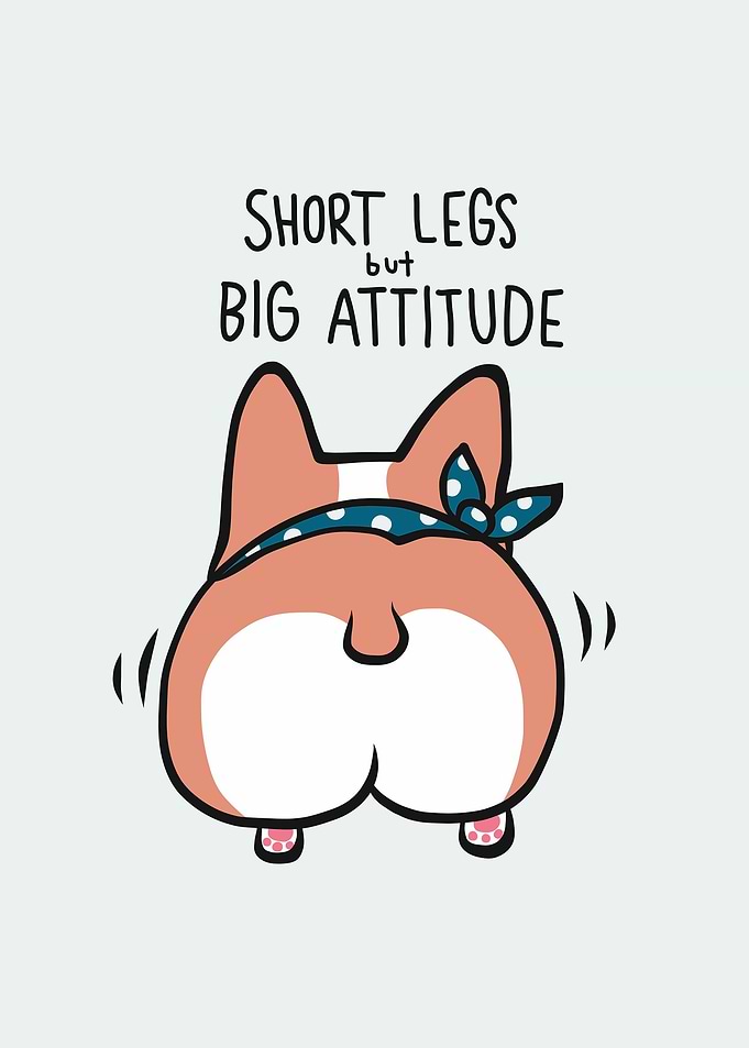 Short leg big attitude dog