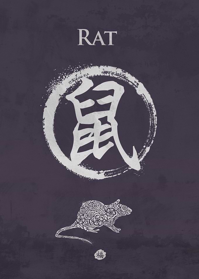 Rat