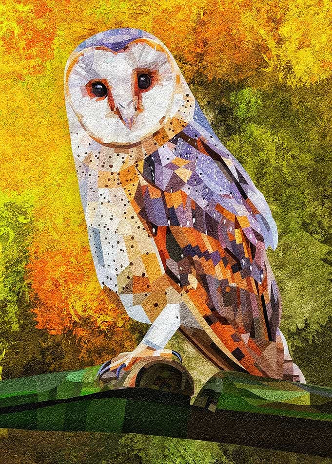 Owl