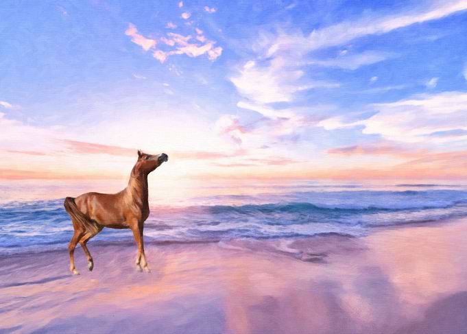 Stallion at Sunrise