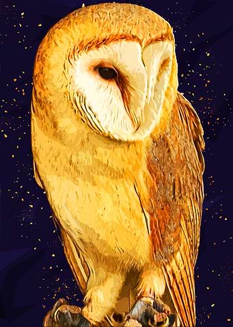 Owls in the artwork 10