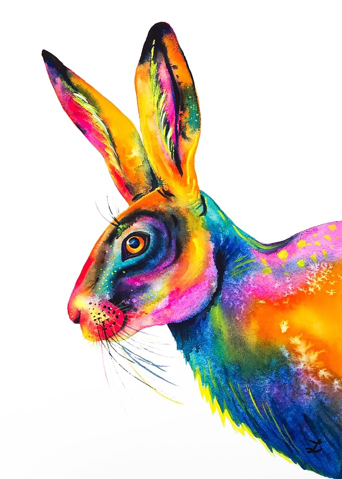 Colorful Hare