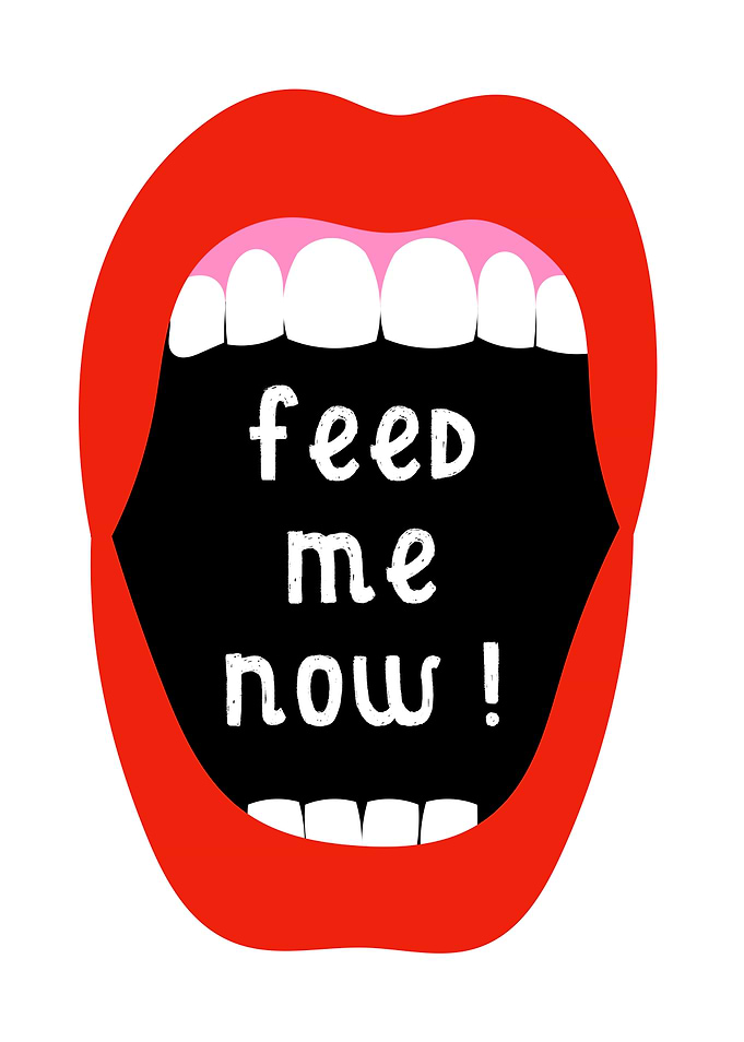 Feed Me Now