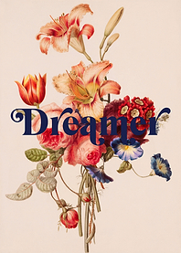 Dreamer