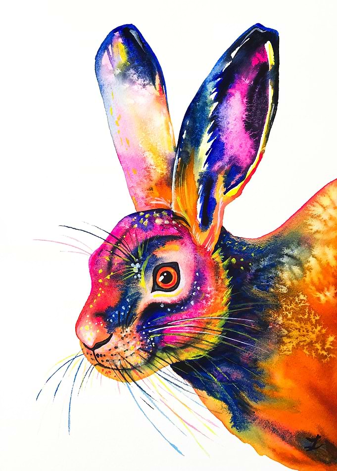 Motley Hare