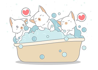 Funny cats are bathing bat