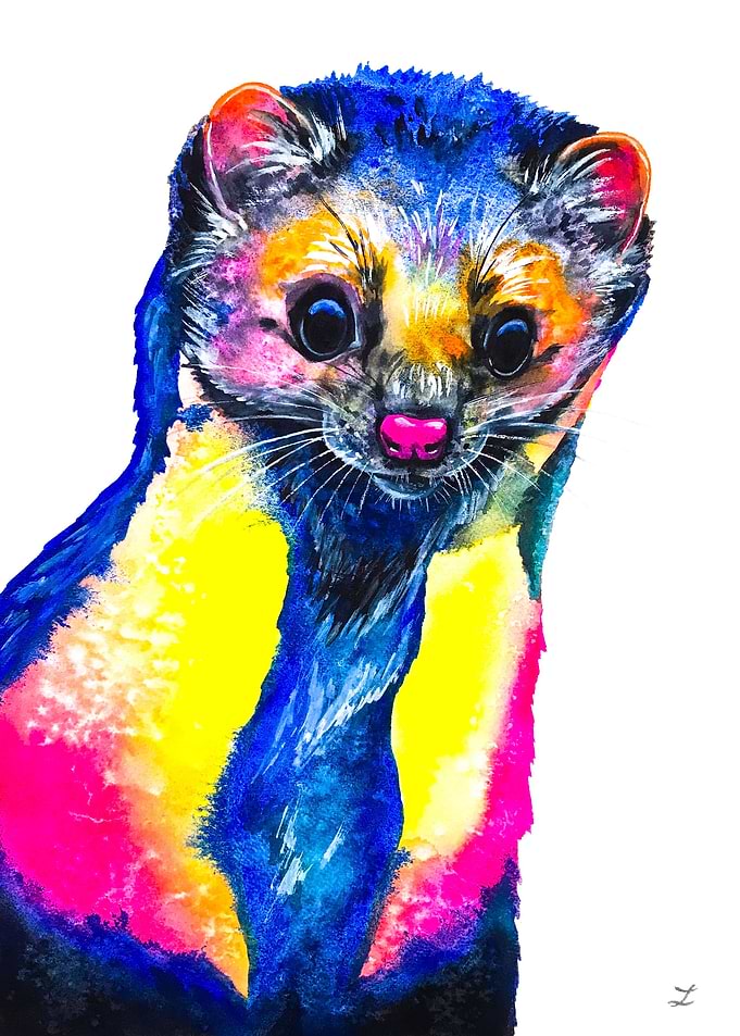 Curious Marten