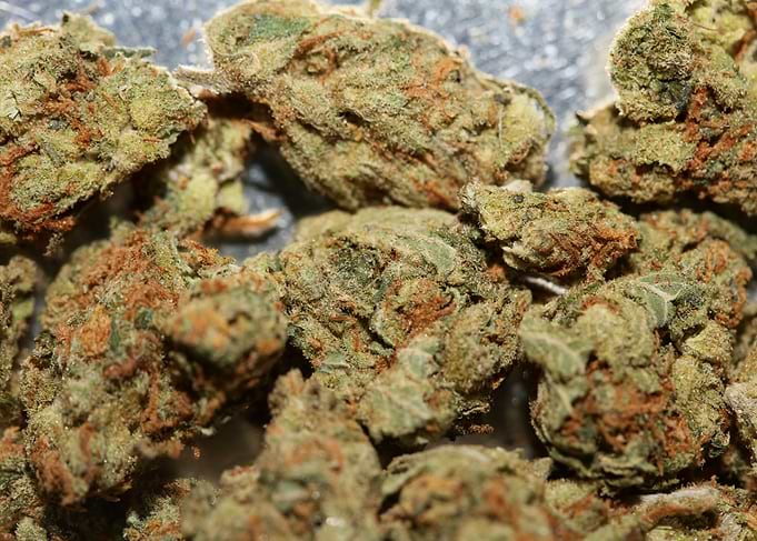 Strawberry Super Haze