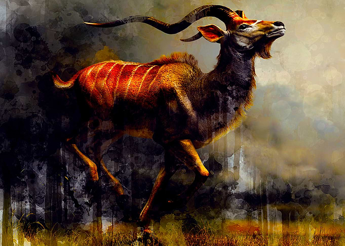 Gazelle
