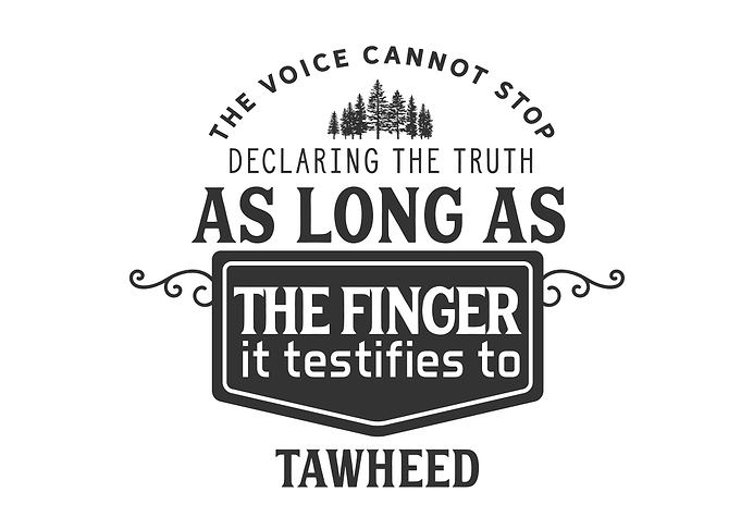 the voice cannot stop