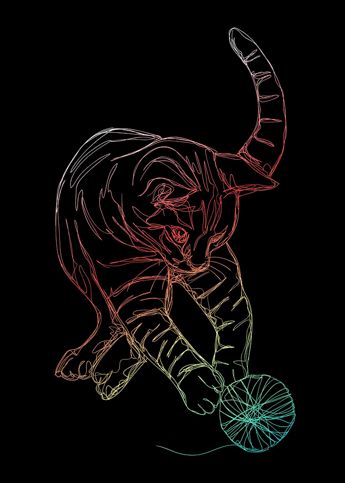 Cat colour