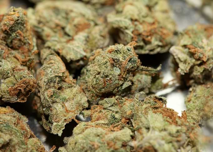 Strawberry Super Skank