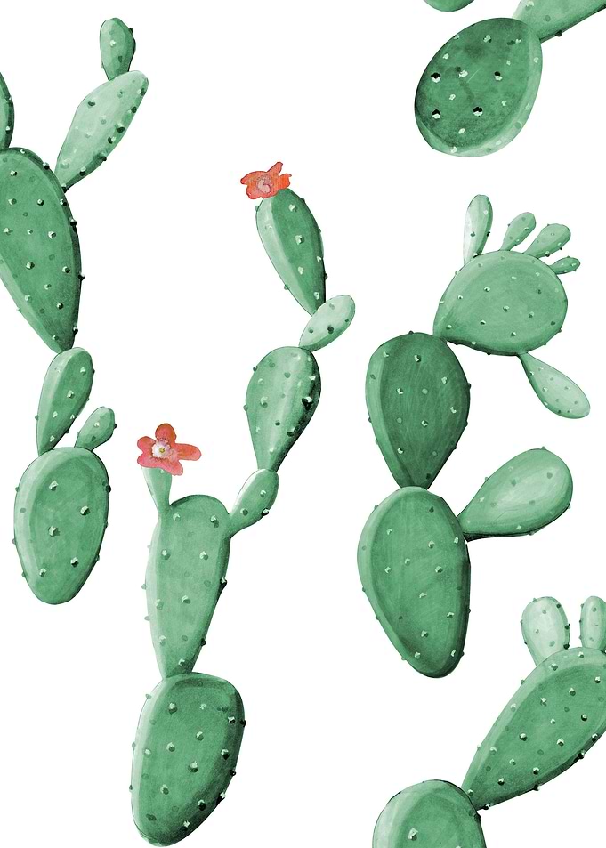 Cactus Pattern 08