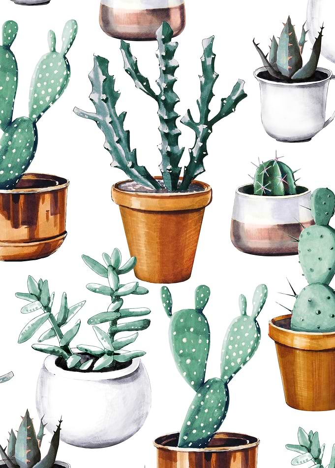 Cactus Pattern 14