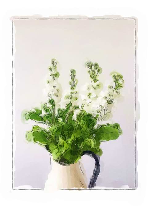 Flower in vase