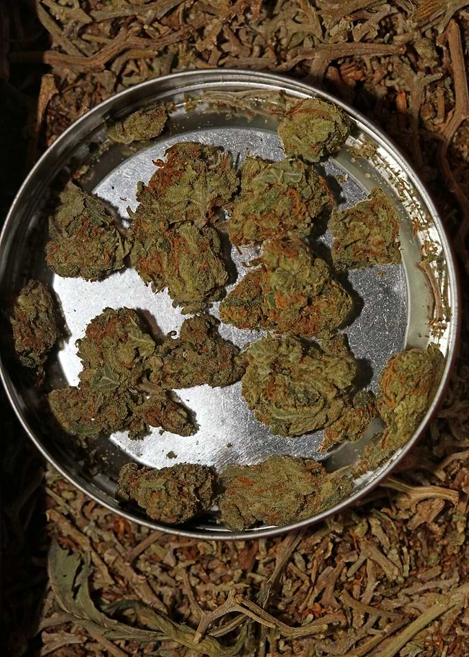 Strawberry Super Haze