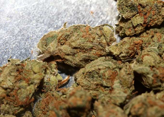 Strawberry Super Haze