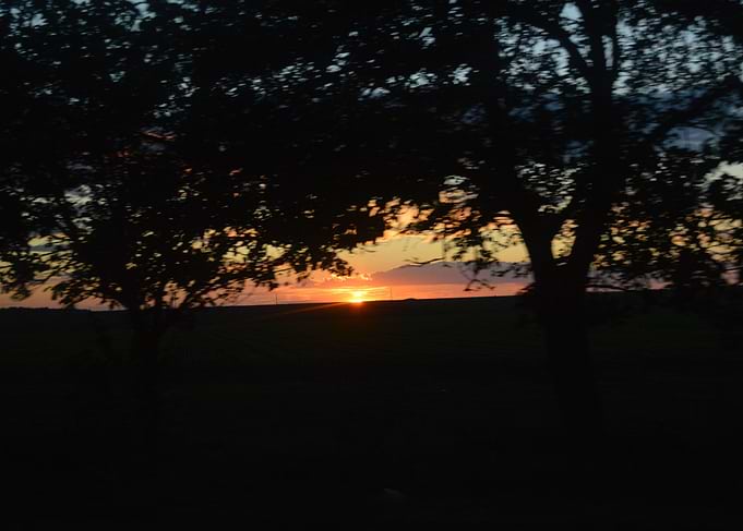 Sunset through the trees