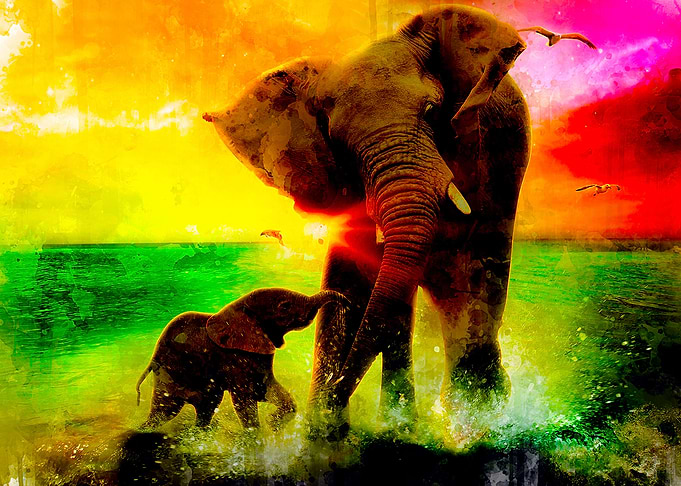 Elephan