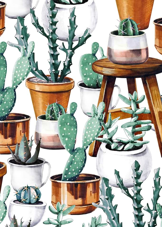 Cactus Pattern 12