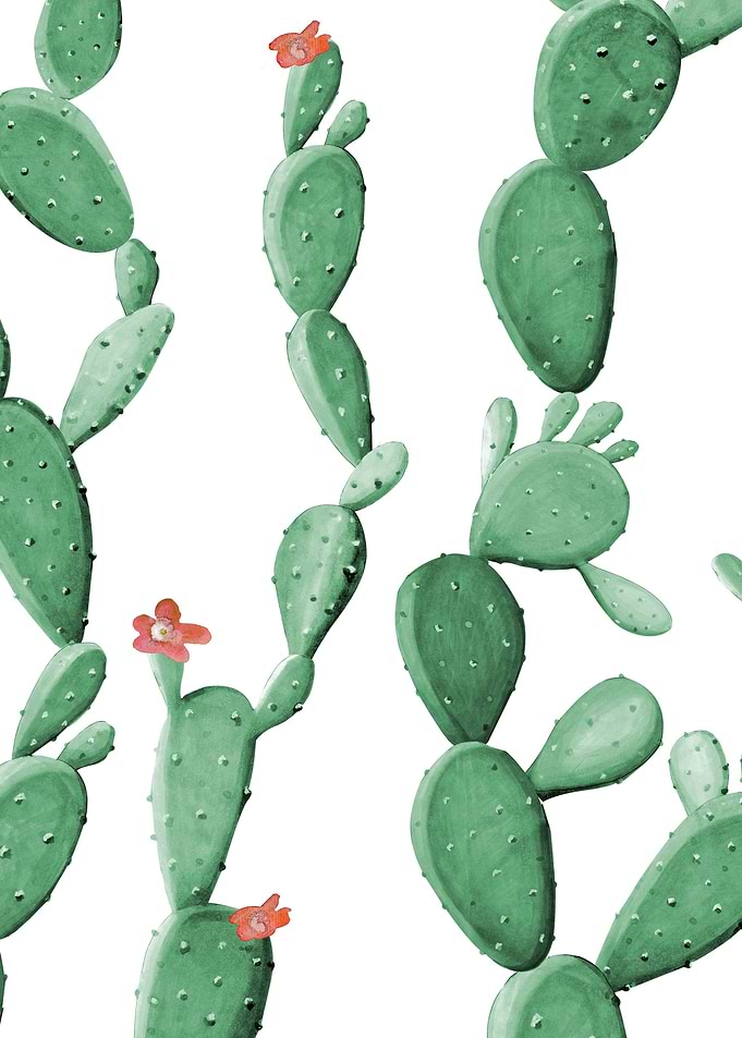 Cactus Pattern 07