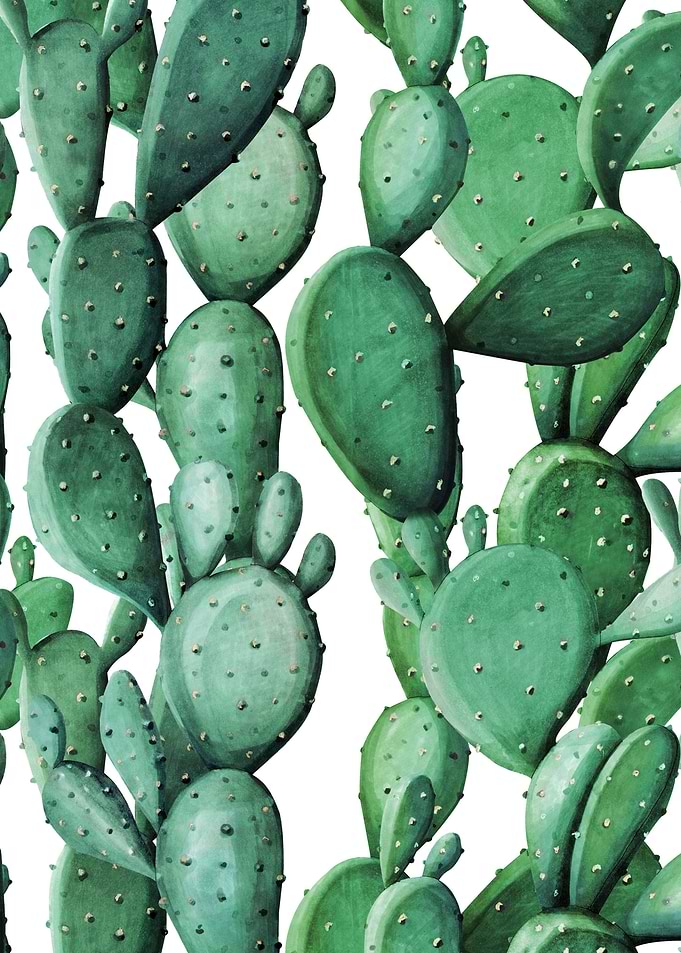 Cactus Pattern 15