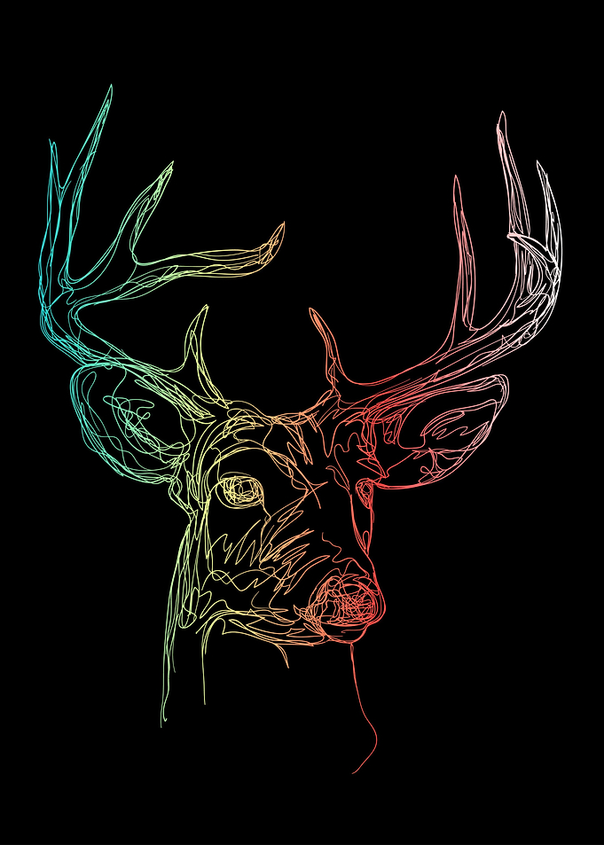 My deer