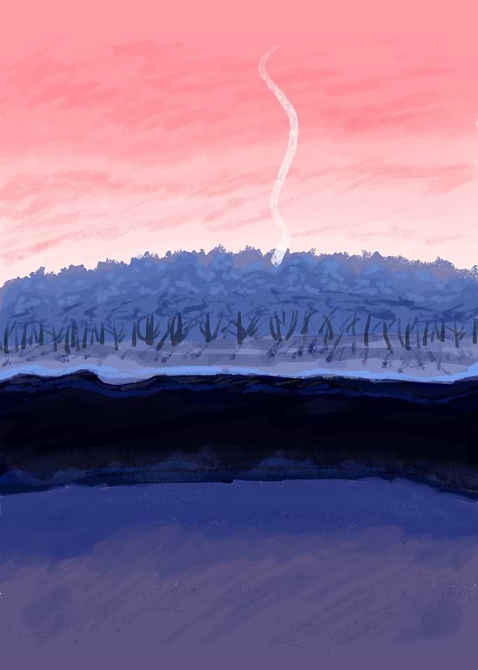Pink and Blue Forest
