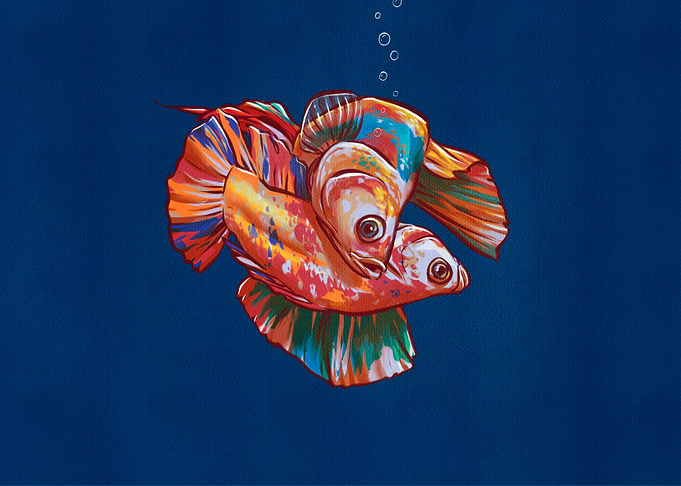 Betta Fishes in Blue