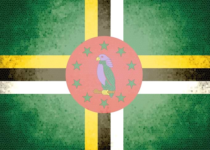 Dominica vintage flag
